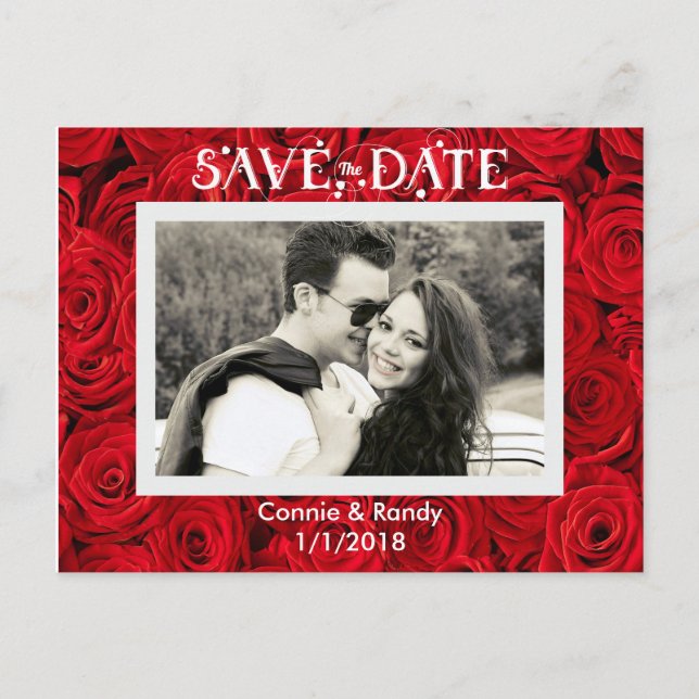 Rote Rosen Save the Date Foto Postkarte (Vorderseite)
