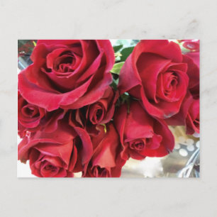 Rote Rosen Save the Date Postkarte