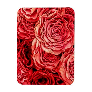 Rote Rosen schließen Magnet