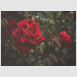 Rote Rosen Schöne Blüte 20x30 Decoupage Seidenpapier