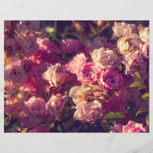 Rote Rosen-Schrein