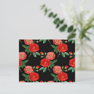 Rote Rosen, schwarzer Hintergrund, Postkarte