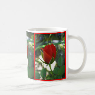 Rote Rosen Tasse