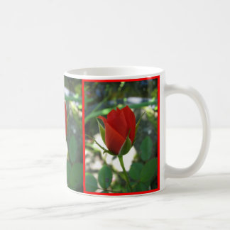 Rote Rosen Tasse