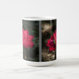 Rote Rosen-Tasse Kaffeetasse
