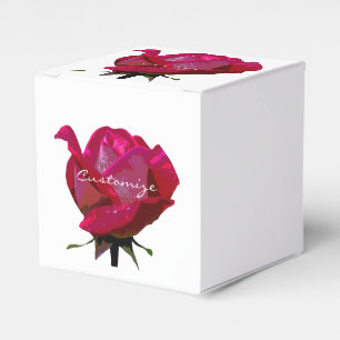 rote Rosen Thunder_Cove alle Farben Geschenkschachtel