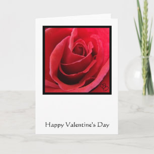 Rote Rosen Valentinstagskarte Feiertagskarte