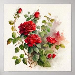 Rote Rosen Wasserfarbe Poster
