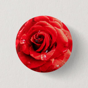 Rote Rosenblume Button