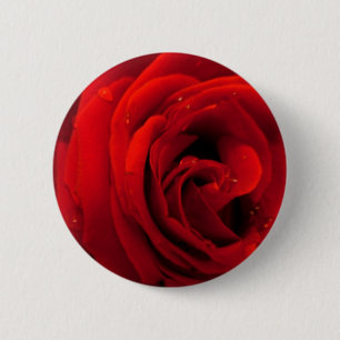 Rote Rosenblume Button