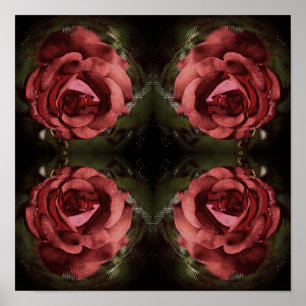 Rote Rosenblume in Blüte abstrakt vintage Poster