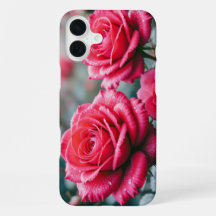 Rote Rosenblumen Elegante Blüten
