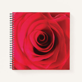 Rote Rosenblumendesign Notizbuch