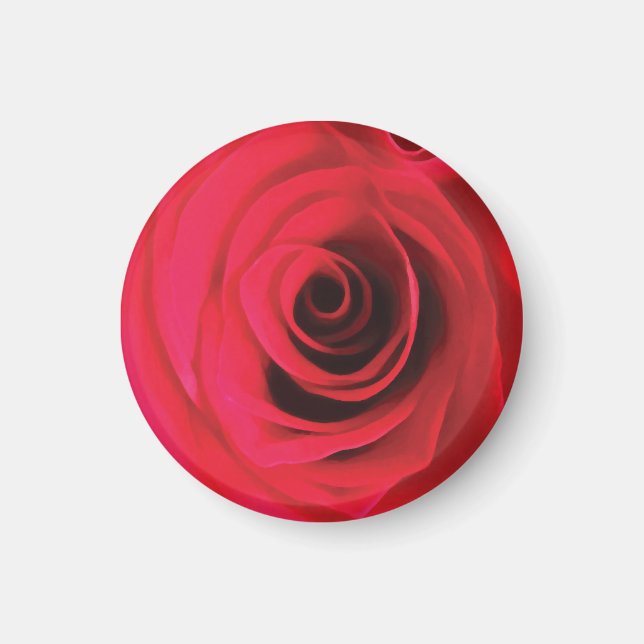 Rote Rosenblüten-Detail Magnet (Vorne)