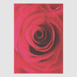 Rote Rosendetail, abstrakter Blumenschwung Seidenpapier