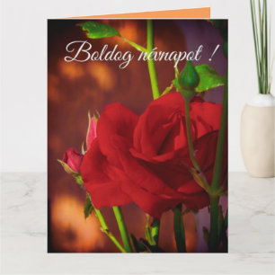Rote Rosenfoto - Ungarischer Namenstag Karte