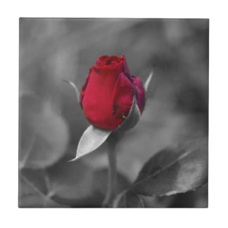 Rote Rosenknospefliese Fliese