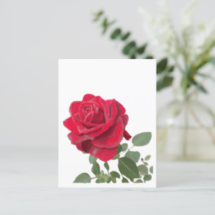 Rote Rosenmalerei Postkarte