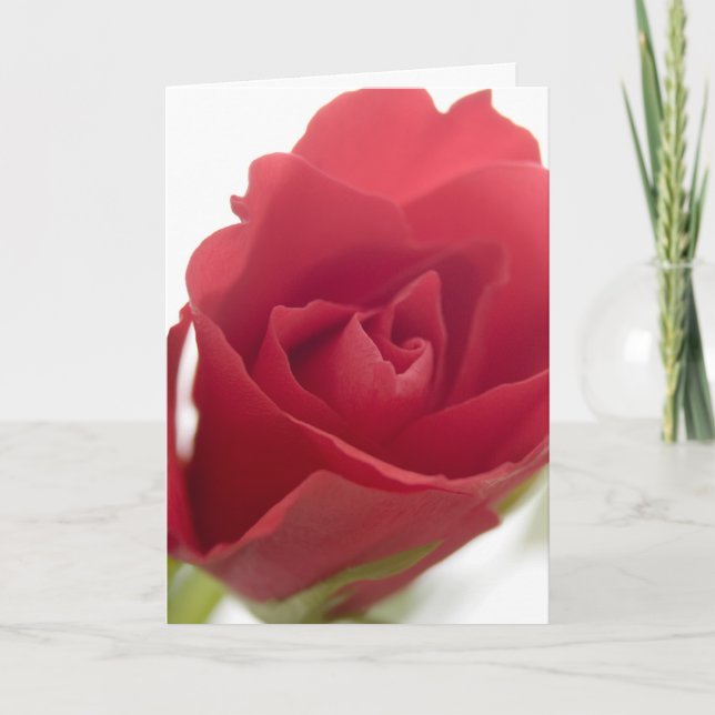 Rote, rote Rose ... Karte (Vorderseite)