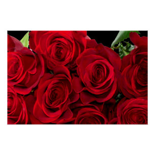 Rote Rote Rose Poster