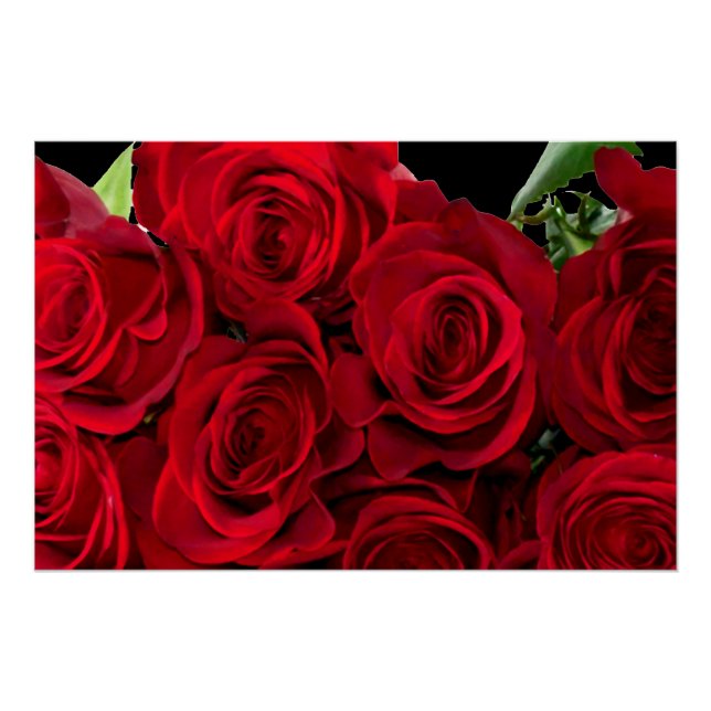 Rote Rote Rose Poster (Vorderseite)