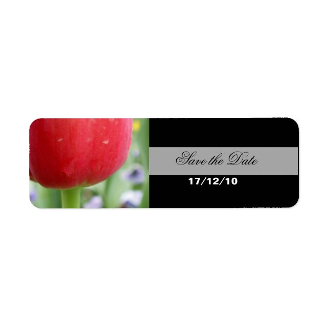 Rote Rote Tulpe (Vorne)
