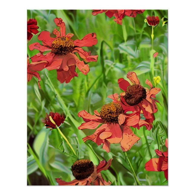 ROTE RUDBECKIENBLÜTEN POSTER (Vorderseite)