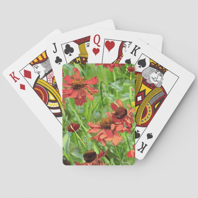 ROTE RUDBECKIENBLÜTEN SPIELKARTEN (Rückseite)