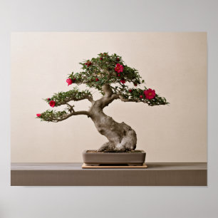 Rote Sasanqua-Kamelie-Bonsai-Kunst   Japanisch  Poster
