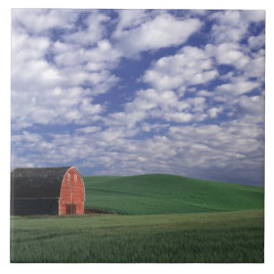 Rote Scheune auf dem Weizen- u. Gerstengebiet in Fliese