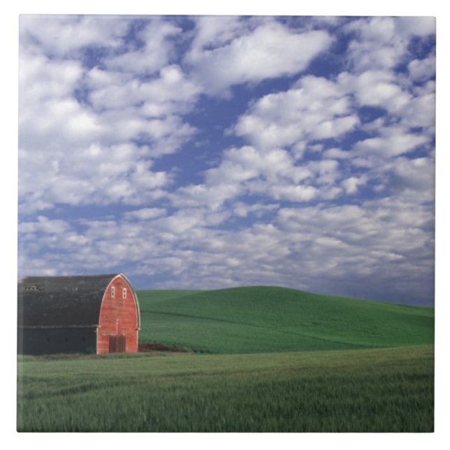 Rote Scheune auf dem Weizen- u. Gerstengebiet in Fliese (Vorderseite)