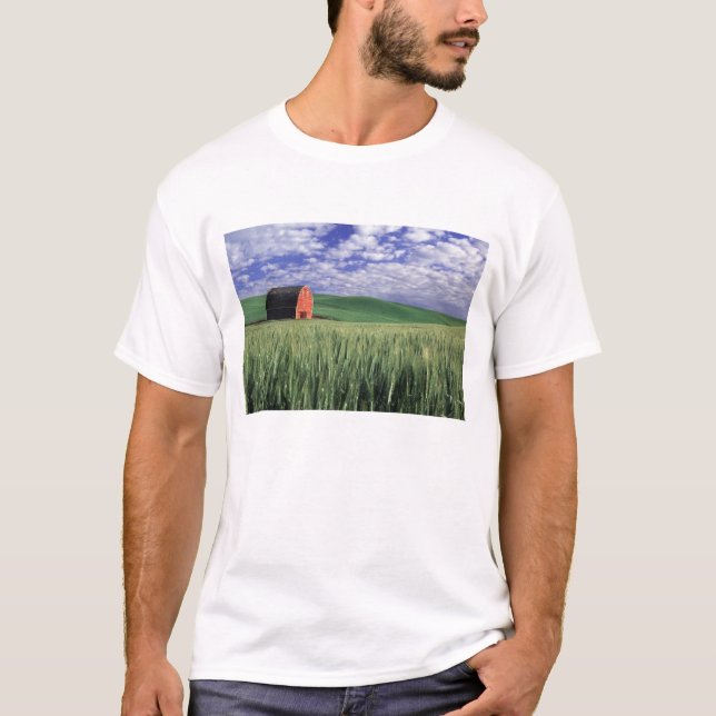 Rote Scheune auf dem Weizen- u. Gerstengebiet in T-Shirt (Vorderseite)