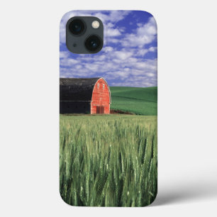 Rote Scheune auf Weizen- und Gerstenfeld in Whitma iPhone 13 Hülle
