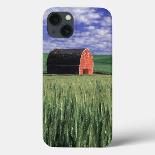 Rote Scheune auf Weizen- und Gerstenfeld in Whitma Case-Mate iPhone Hülle