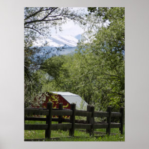 Rote Scheune Foto Poster