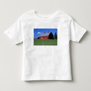 Rote Scheune in Latah County, Idaho state PR MR) Kleinkind T-shirt
