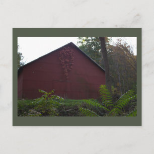 Rote Scheune mit Efeu-Postkarte Postkarte