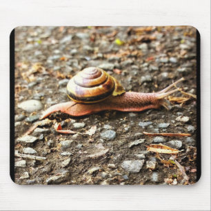 Rote Schnecke am Boden Mousepad