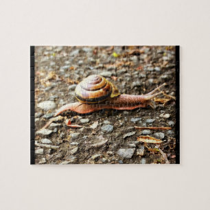 Rote Schnecke auf dem Boden Puzzle