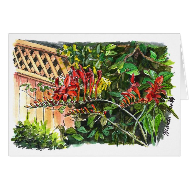 Rote Schönheit (Vorderseite (Horizontal))
