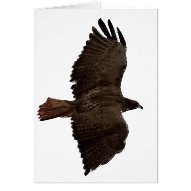 Rote Schwanz (Vorne)