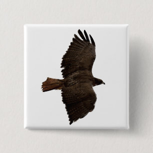 Rote Schwanz Button