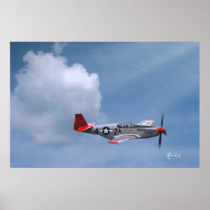 Rote Schwänze auf Anfrage Poster