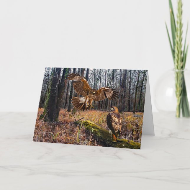 "Rote Schwänze"-Grußkarte Karte (Vorderseite)