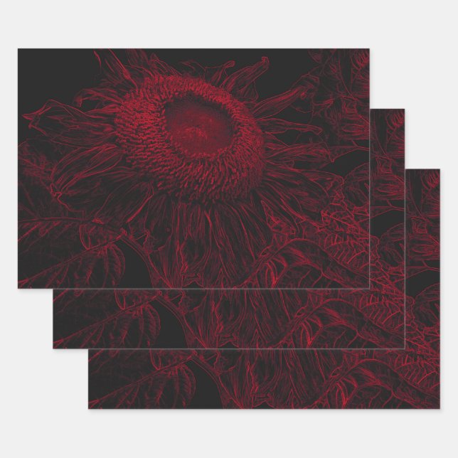 Rote Schwarze Blüte Entdeckungsreise zur Sonnenblu Geschenkpapier Set (Set)