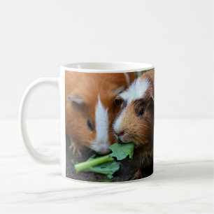 Rote, Schwarze und Weiße Guinea Schweine essen Grü Kaffeetasse