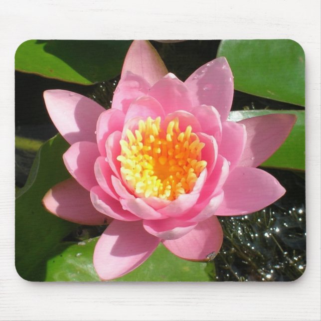 Rote Seerose Mousepad (Vorne)