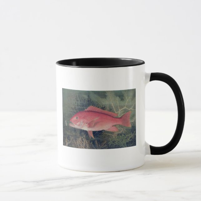 Rote Snapper, 'von den Spiel-Fischen des Tasse (Rechts)