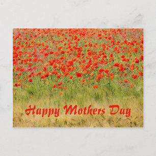 rote Sommerblume, Muttertag Postkarte