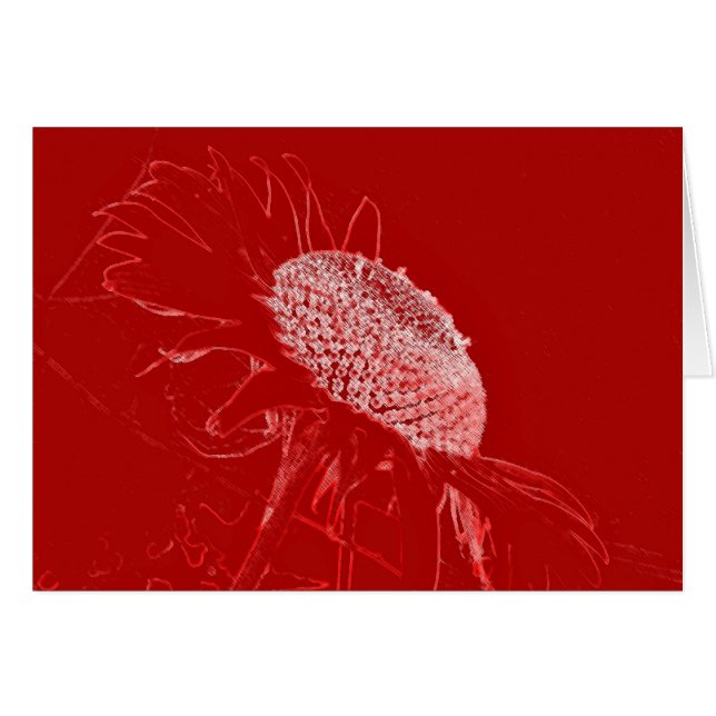 Rote Sonnenblume (Vorderseite (Horizontal))